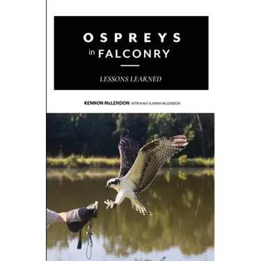 Ospreys in Falconry: Lessons Learned