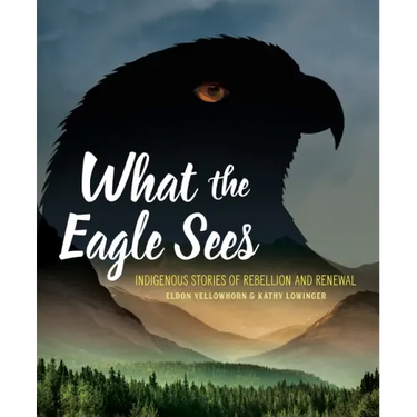 What the Eagle Sees: Indigenous Stories of Rebellion and Renewal