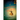 The Forty Rules of Love: A Novel of Rumi