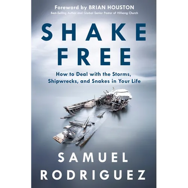 Shake Free: How to Deal with the Storms, Shipwrecks, and Snakes in Your Life