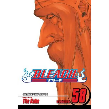 Bleach, Vol. 58: The Fire