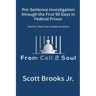 Pre-Sentence Investigation Through the First 90 Days in Federal Prison (From Cell 2 Soul)