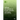 Cellular Senescence in Health, Disease and Aging: Blessing or Curse?