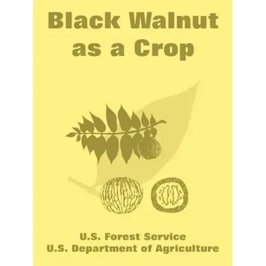 Black Walnut as a Crop