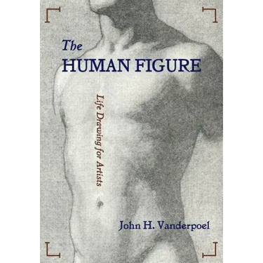 The Human Figure