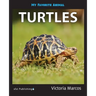 My Favorite Animal: Turtles