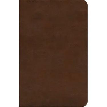 ESV Concise Study Bible(tm) (Trutone, Brown)