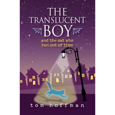 The Translucent Boy and the Cat Who Ran Out of Time