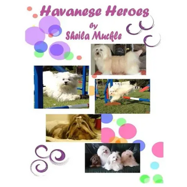 Havanese Heroes: The Adventures of Five Little Dogs