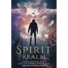 Spirit Realm: Angels, Demons, Spirits and the Sovereignty of God (Foreword by Jordan Maxwell)