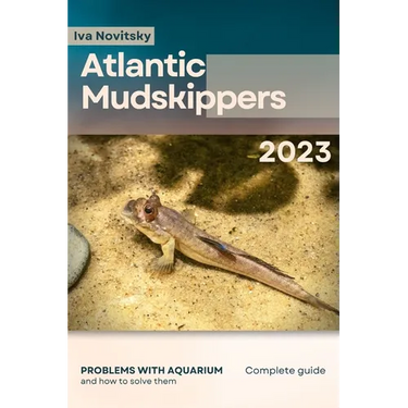 Atlantic Mudskippers: Problems with aquarium and how to solve them