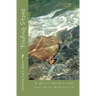 Finding Stone: A Quiet Parable and Soul-Work Meditation