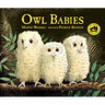 Owl Babies