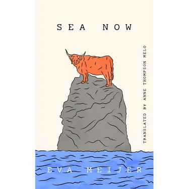 Sea Now