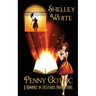 Penny Gothic: a romance of fictitious proportions