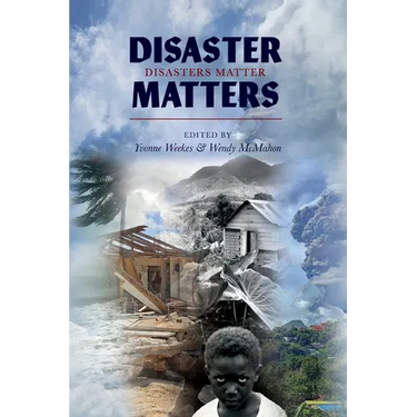 Disaster Matters