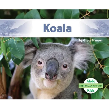 Koala