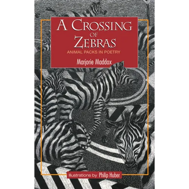 A Crossing of Zebras