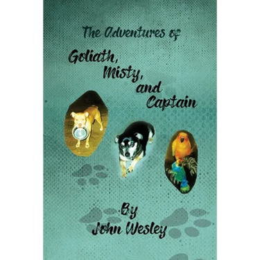 The Adventures of Goliath, Misty, and Captain