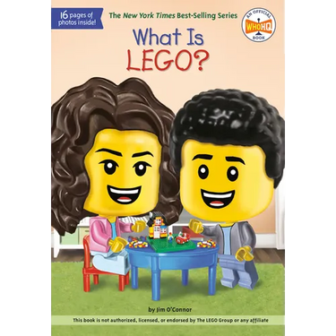 What Is Lego?