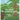 The Mighty Mr. Coconut Tree
