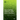 Plant Cell Wall Plasticity under Stress Situations