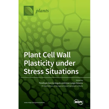 Plant Cell Wall Plasticity under Stress Situations