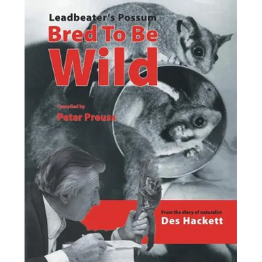 Leadbetter's Possum: Bred to Be Wild