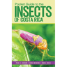 Pocket Guide to the Insects of Costa Rica