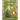 The Monkey and the Tiger
