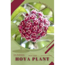 Hoya plant: Plant Guide