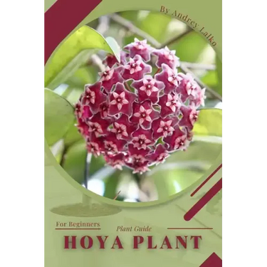 Hoya plant: Plant Guide