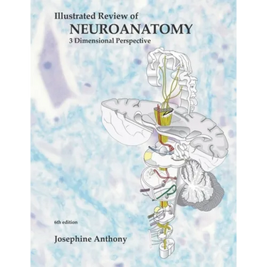 Illustrated Review of Neuroanatomy: 3 Dimensional Perspective