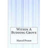 Within A Budding Grove
