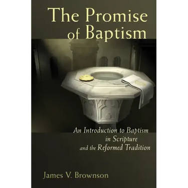 Promise of Baptism: An Introduction to Baptism in Scripture and the Reformed Tradition