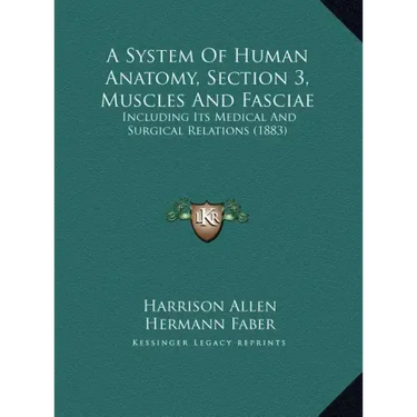 A System Of Human Anatomy, Section 3, Muscles And Fasciae: Including Its Medical And Surgical Relations (1883)