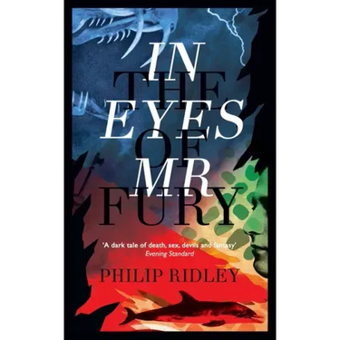 In the Eyes of Mr Fury