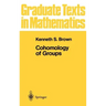 Cohomology of Groups