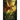 Eyrie