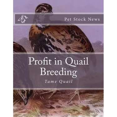 Profit in Quail Breeding: Tame Quail