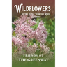 Wildflowers of The Little Tennessee River Greenway