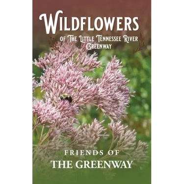 Wildflowers of The Little Tennessee River Greenway