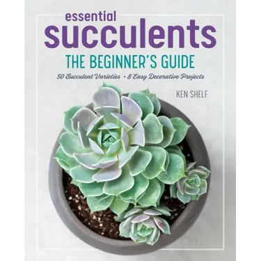 Essential Succulents: The Beginner's Guide
