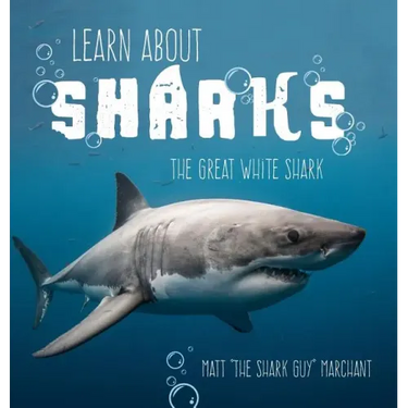Learn About Sharks: The Great White Shark