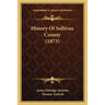 History Of Sullivan County (1873)