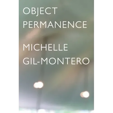 Object Permanence