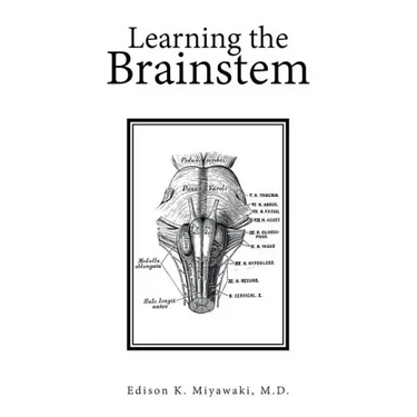 Learning the Brainstem