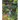 Black-Tailed Deer of the Great Northwest