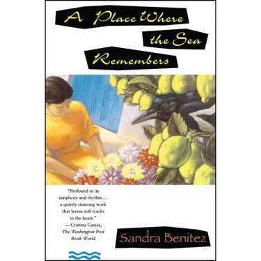 Place Where the Sea Remembers