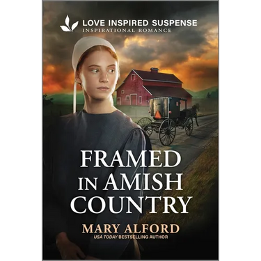 Framed in Amish Country: An Amish Suspense Novel